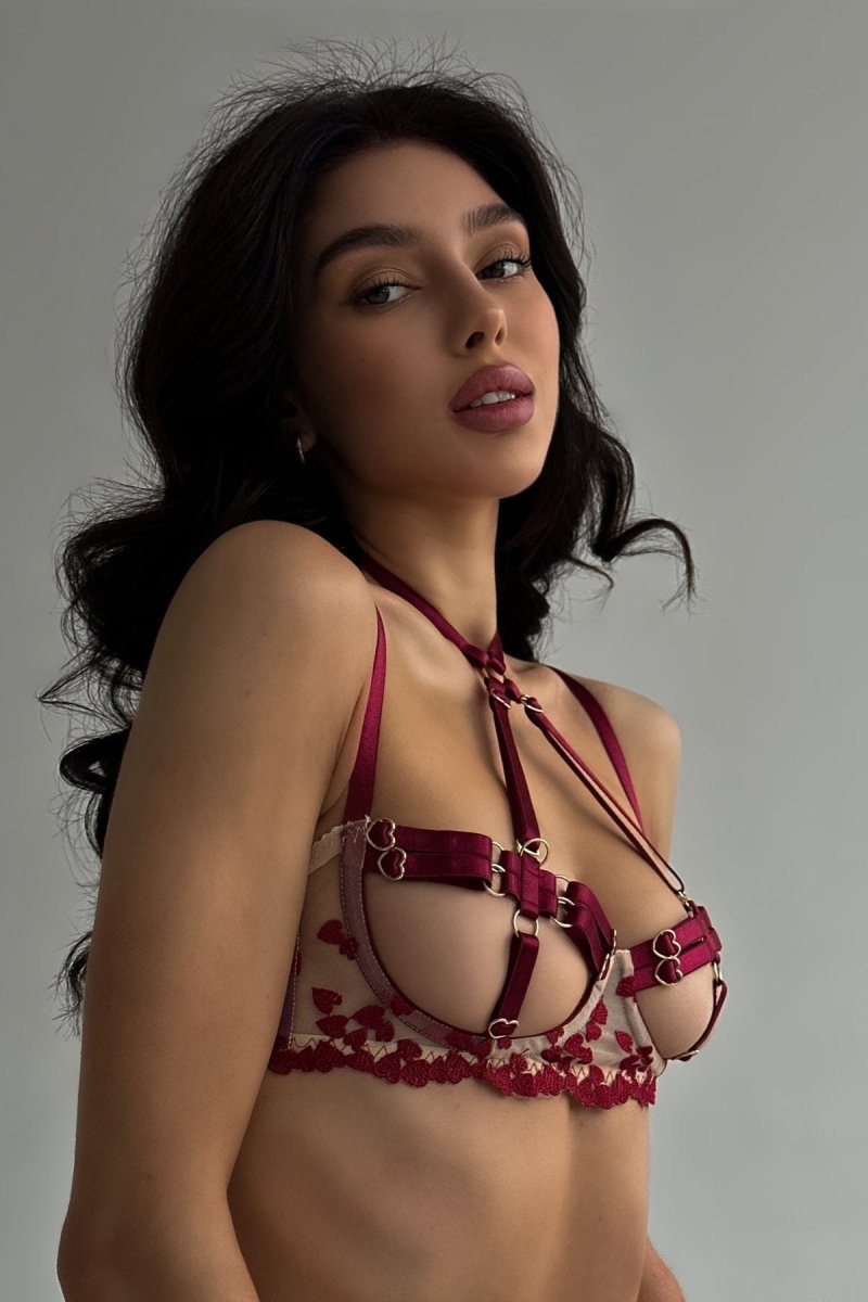 Belltoile™ 4 Parça Lingerie Takımı + Bacak Halkaları / AURORA